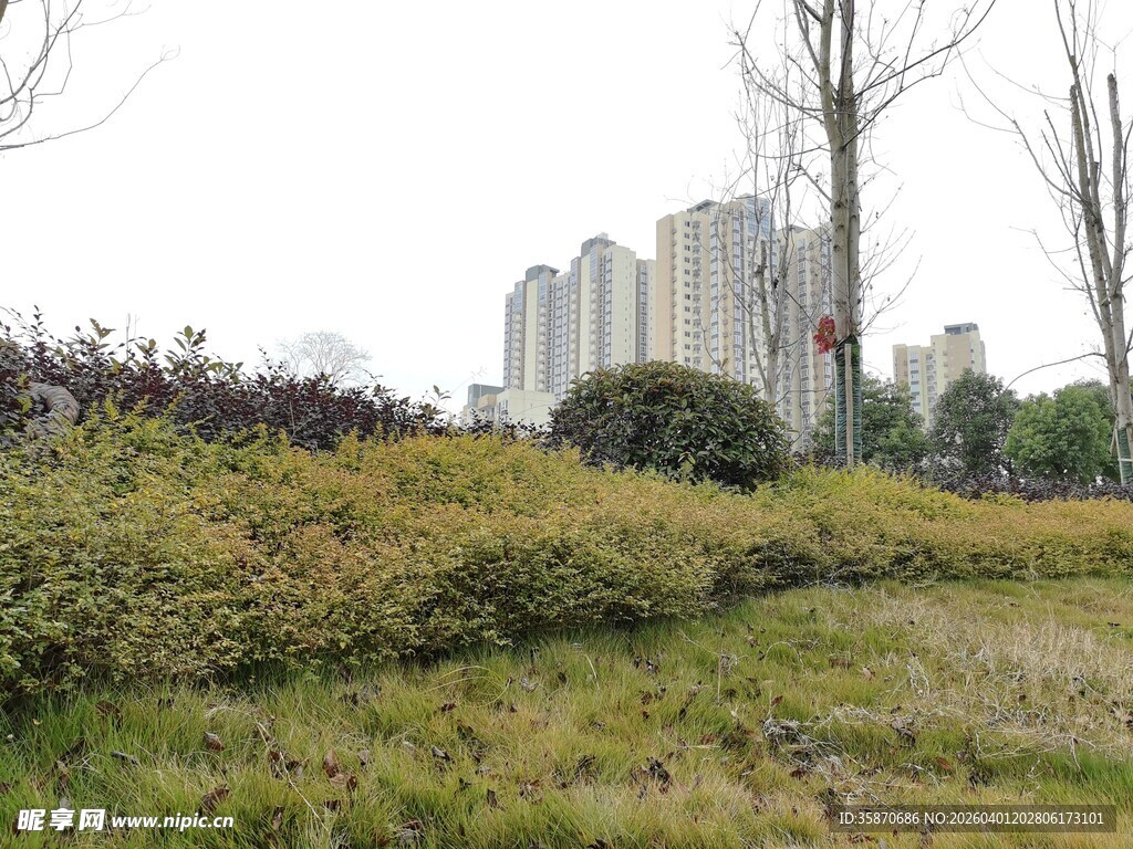 城郊草地与远处高楼景观