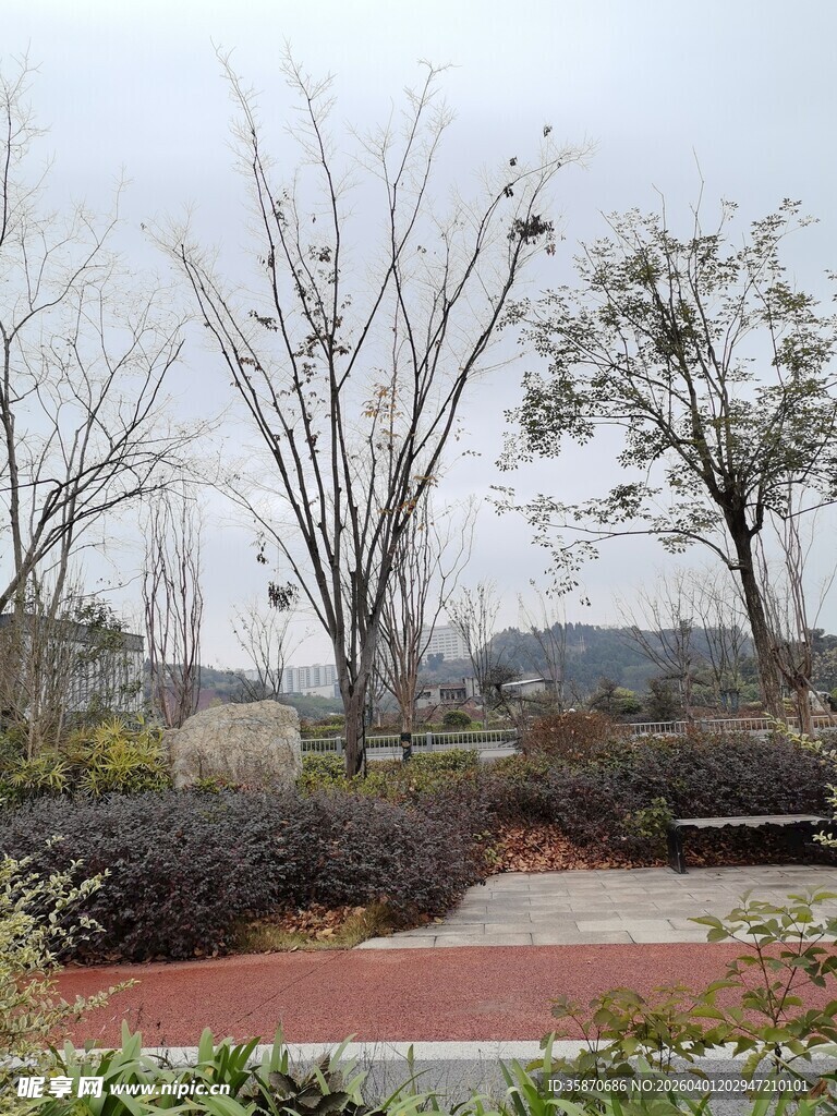 冬日公园萧瑟景致