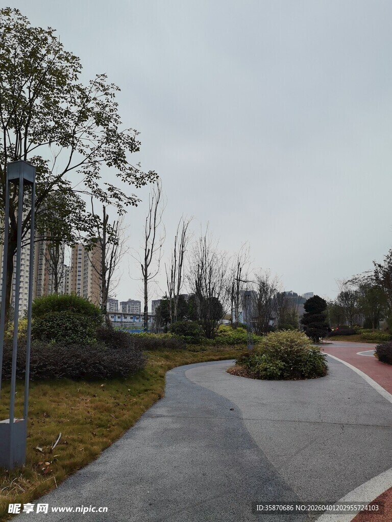 城市道路旁的绿化景观