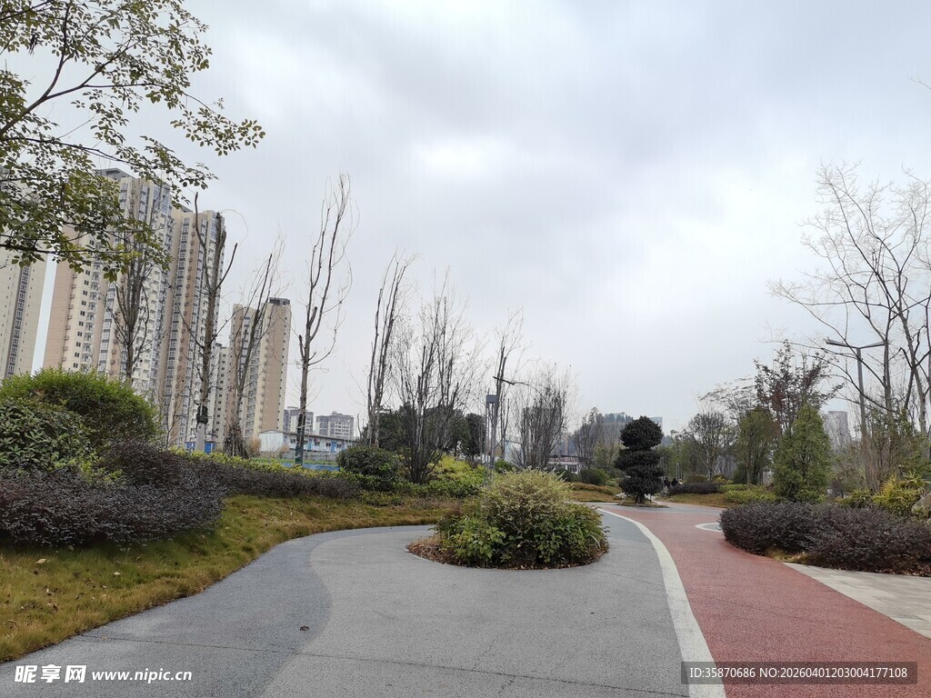 城市中的美丽园林步道