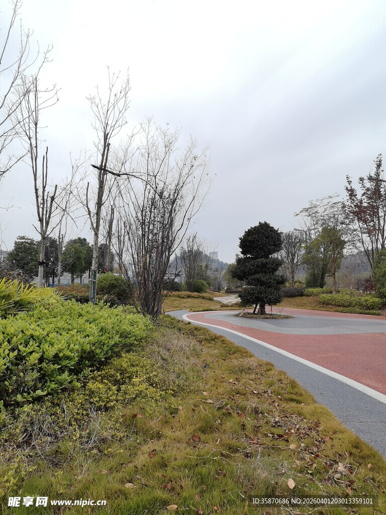 城市公园中的多彩步道