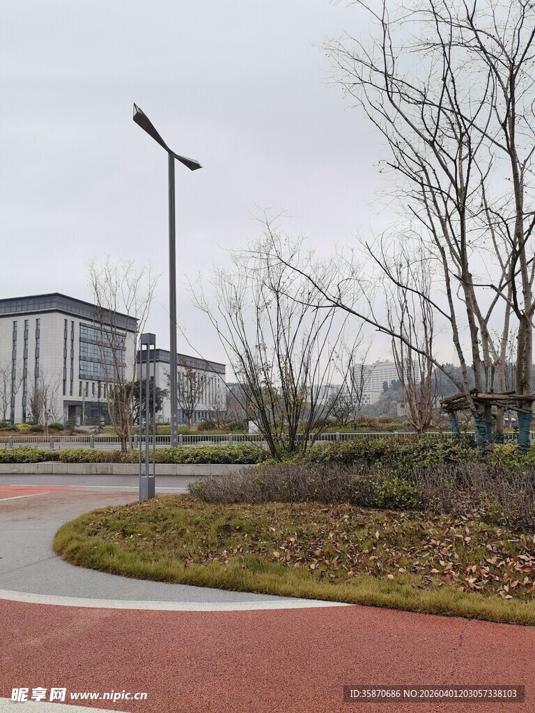 城市公园中的弯曲步道景观