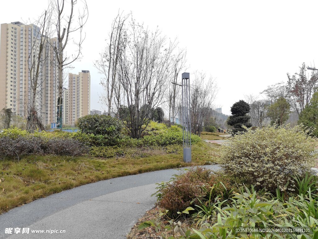 城市中的宁静蜿蜒小路