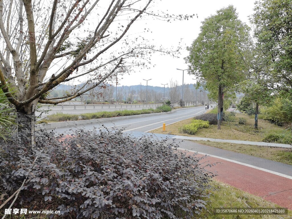 城郊道路旁的绿化景观