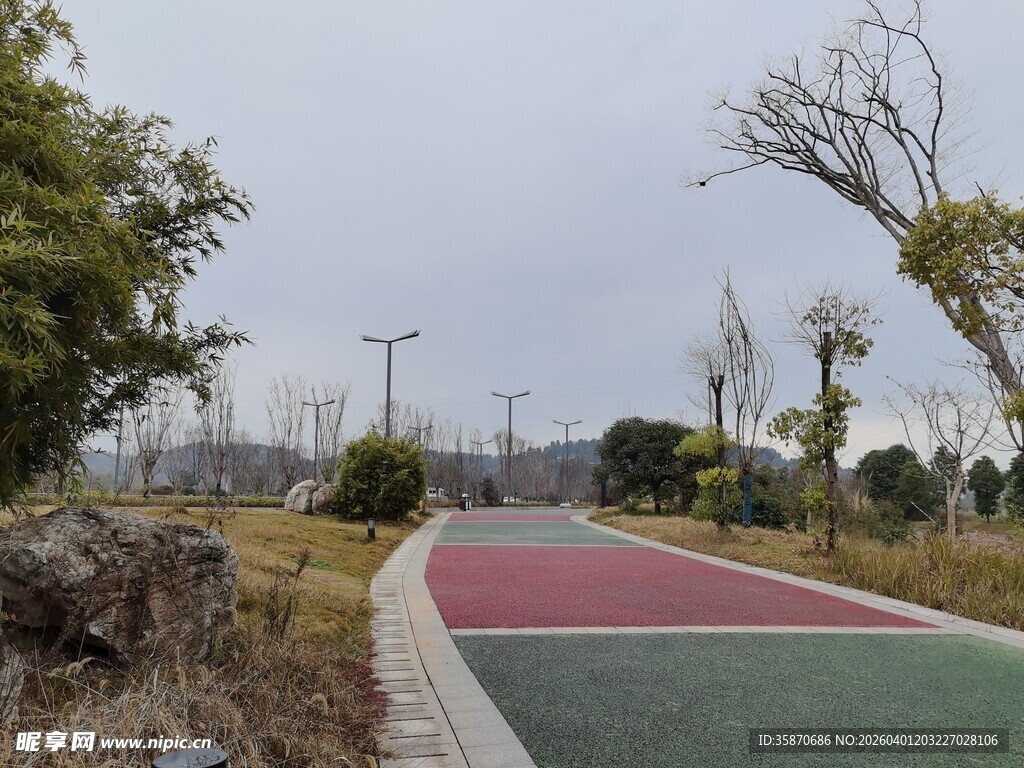 公园彩色步道风景