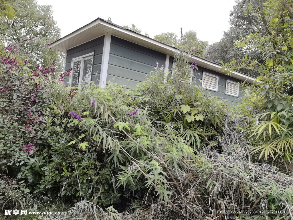 被绿植环绕的温馨小屋