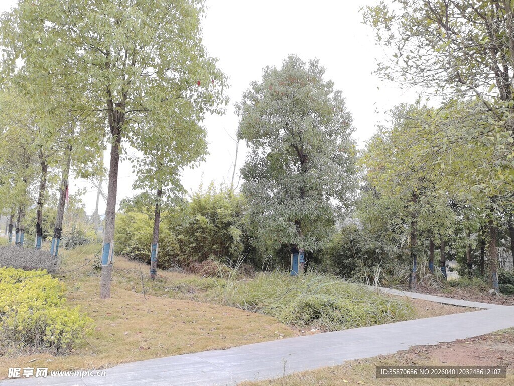 宁静公园小径景观