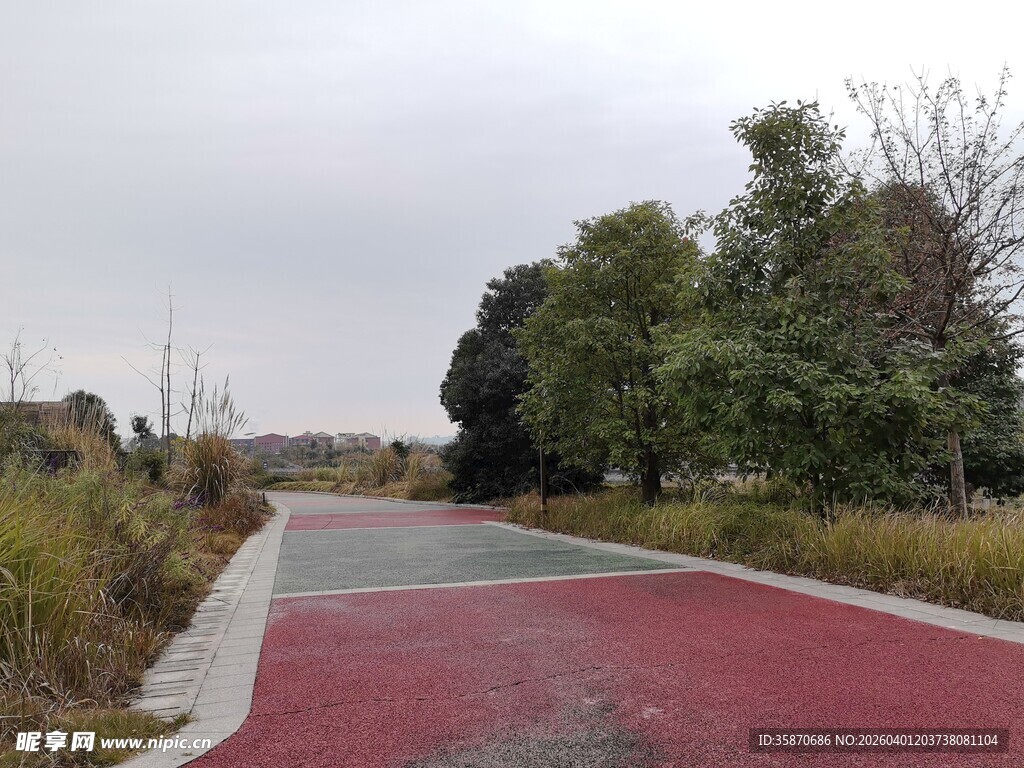 红色步道旁的绿意景观