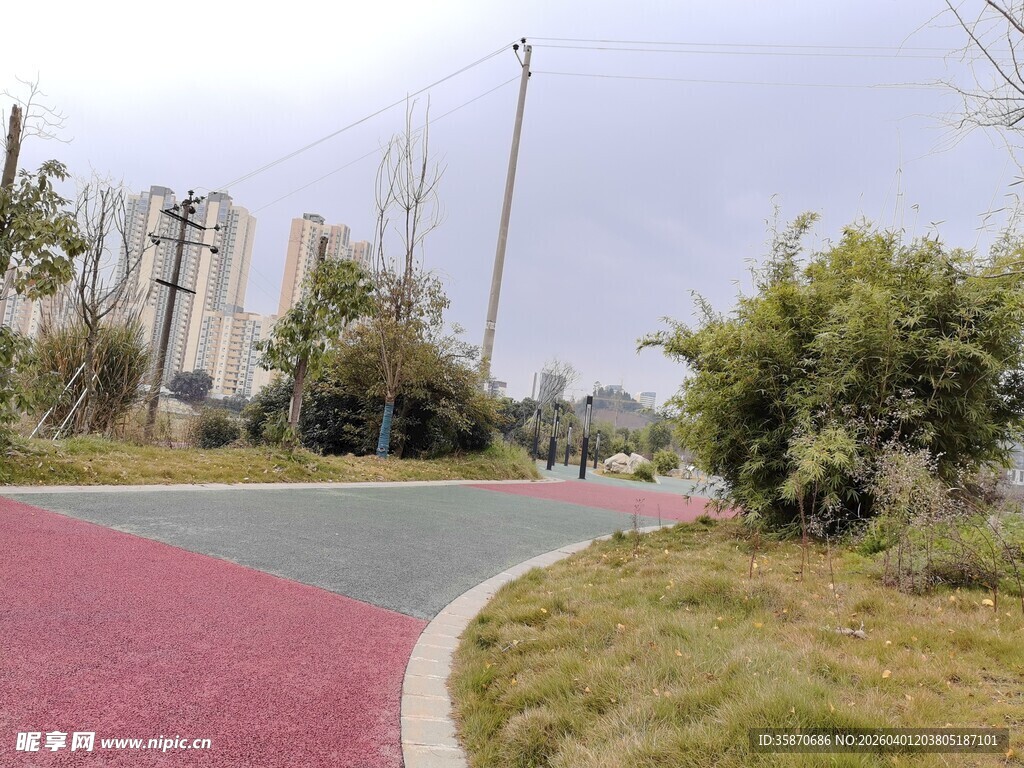 彩色步道旁的绿化景观