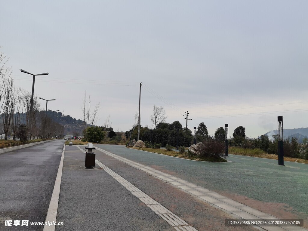 空旷道路旁的绿植景观