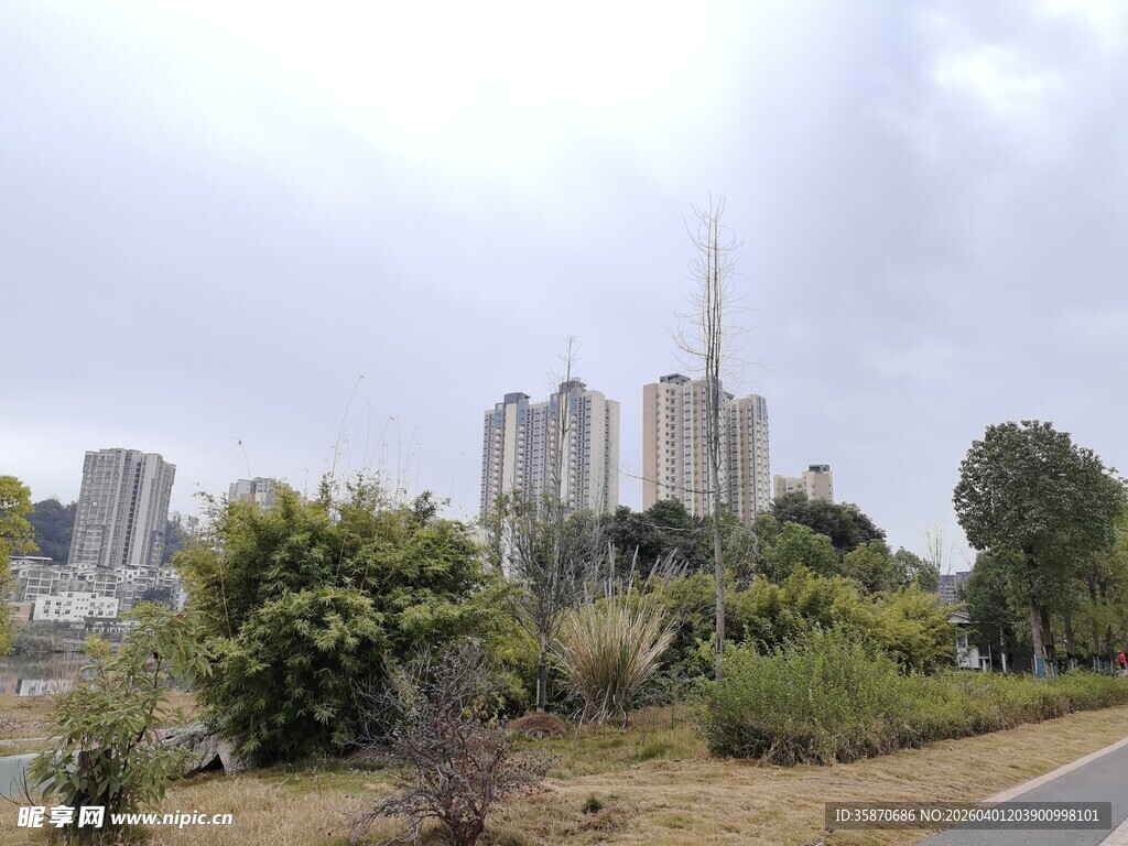 城市边缘景观绿植高楼
