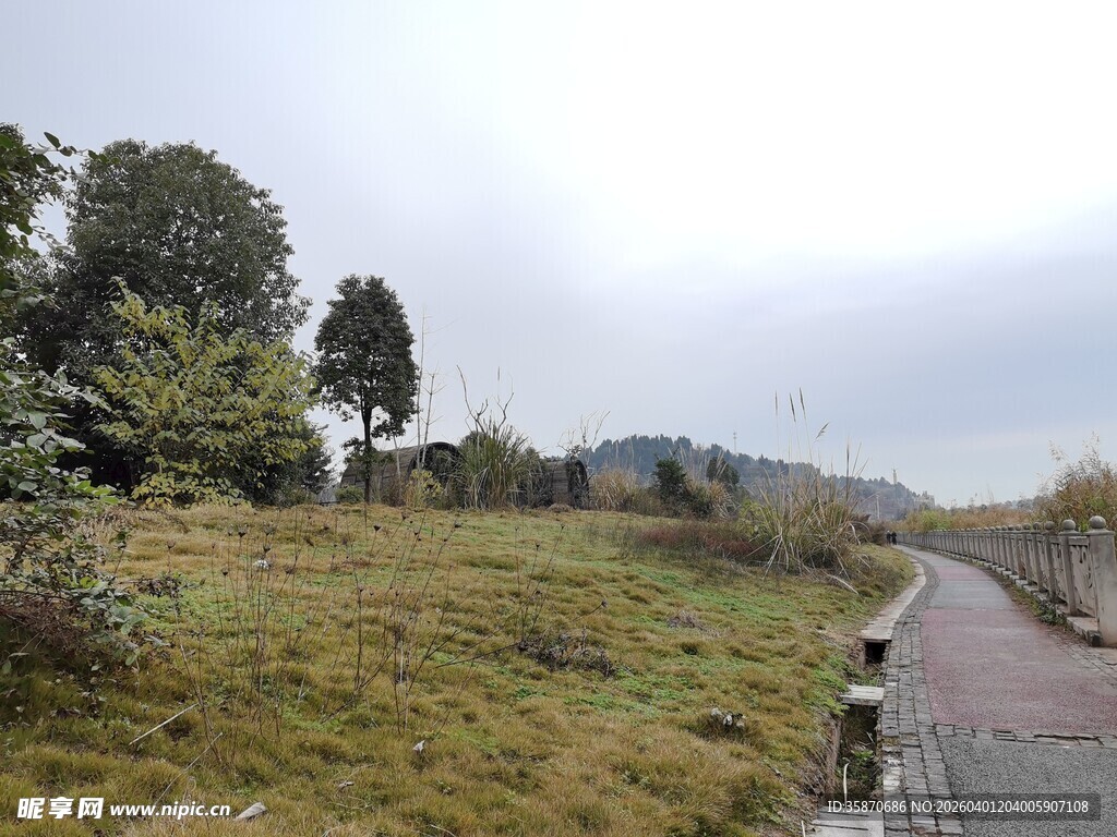 乡间小路旁的草地与树木