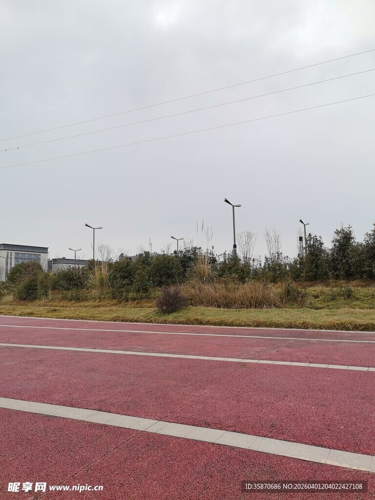 红色跑道旁的绿植景观