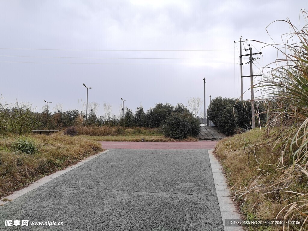 乡村小道静谧自然风景