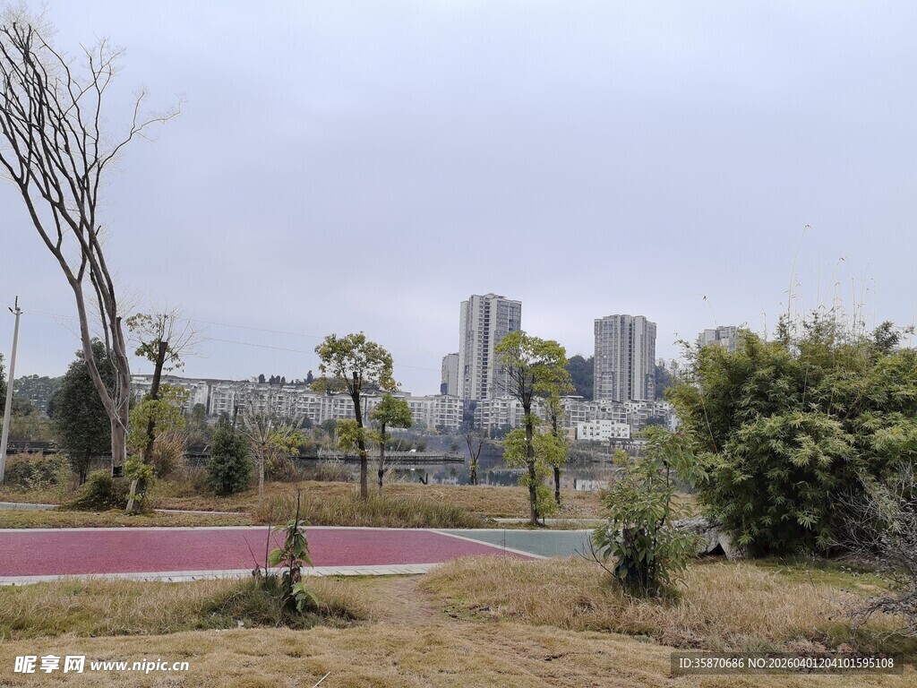 城市公园景观一角