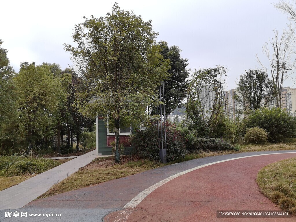 城市中的静谧绿化小径