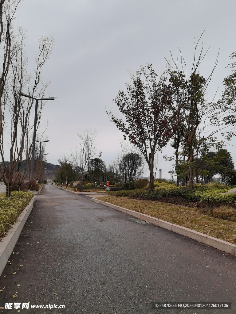 宁静的城郊道路风景