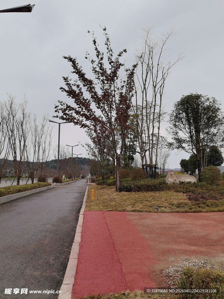 城郊道路旁的多彩景观