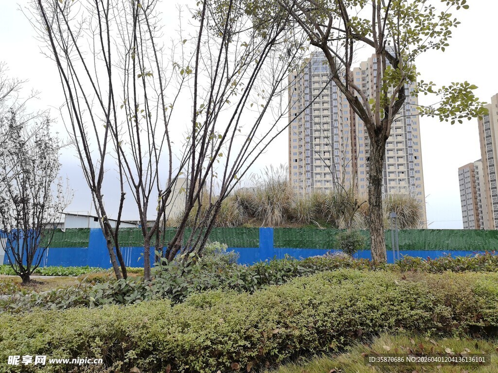 城市绿地旁的高楼景观