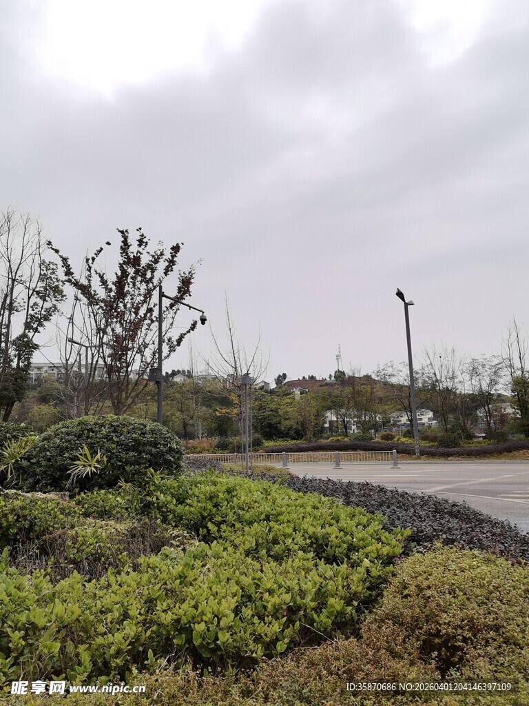 户外绿植小径景观