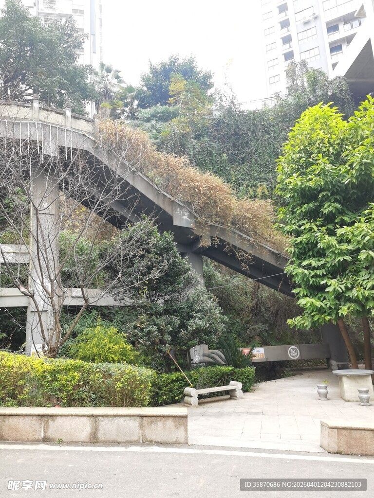 城市中的绿植覆盖阶梯景观