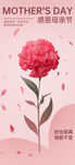 母亲节康乃馨花朵插画