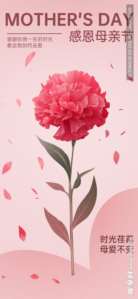 母亲节康乃馨花朵插画