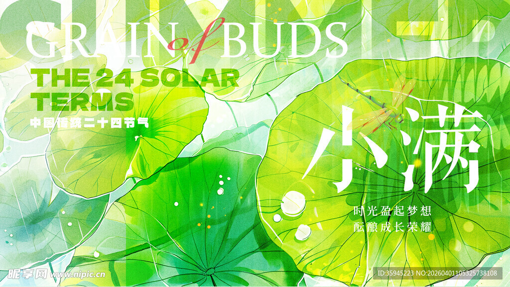 小满时节嫩绿枝芽初绽