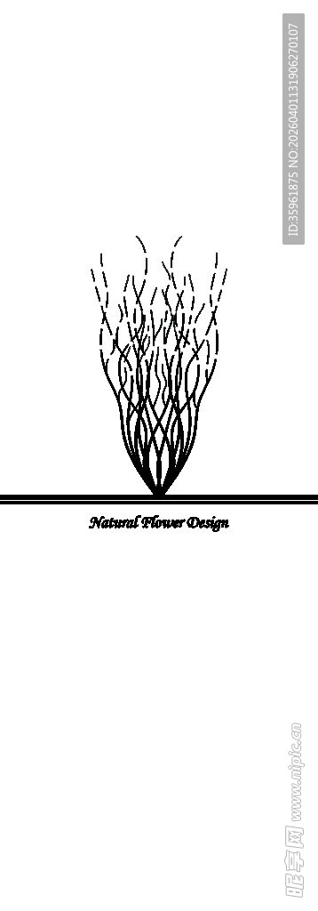 简约线条植物图案设计