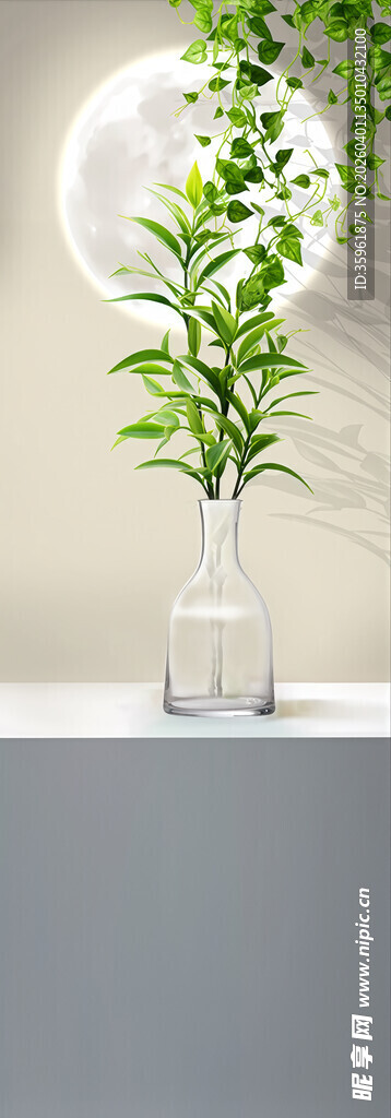 简约绿植瓶饰 清新氛围