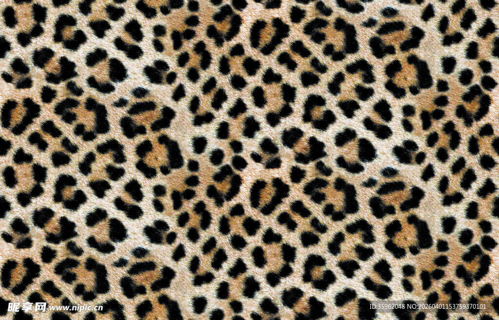 豹纹图案纹理背景