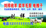 收羊毛卖毛电推子名片