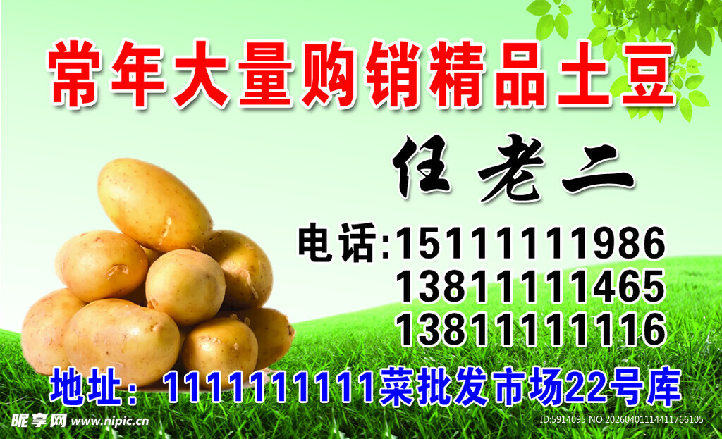 大量精品土豆常年购销名片
