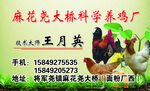 科学养鸡场名片