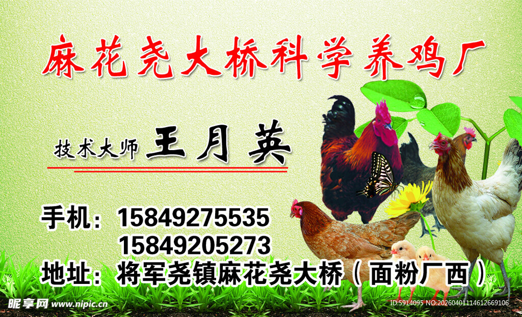 科学养鸡场名片