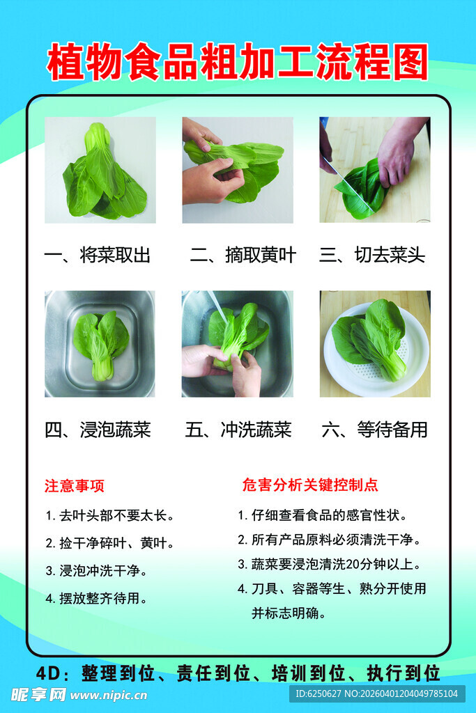 饭店植物食品粗加工流程