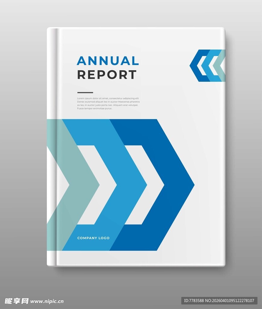蓝白几何图案年度报告封面