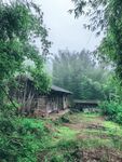 林间小屋