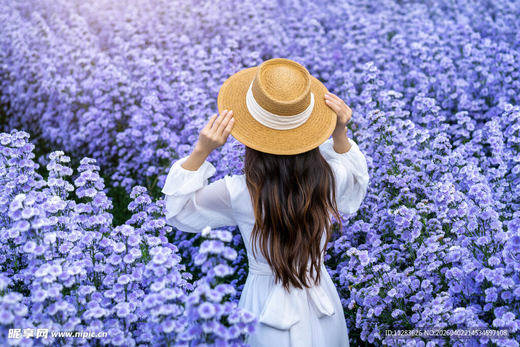 漫步紫色花海的优雅女子
