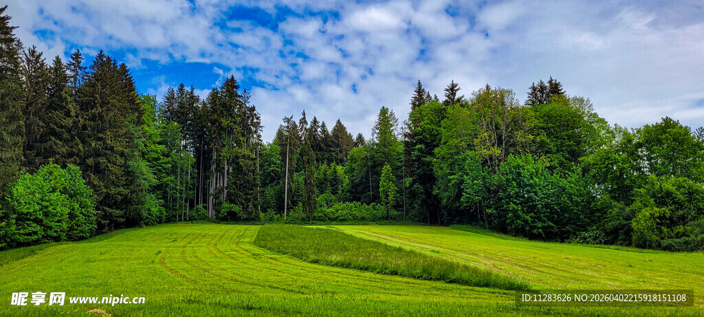 翠绿草坪上的开阔自然美景