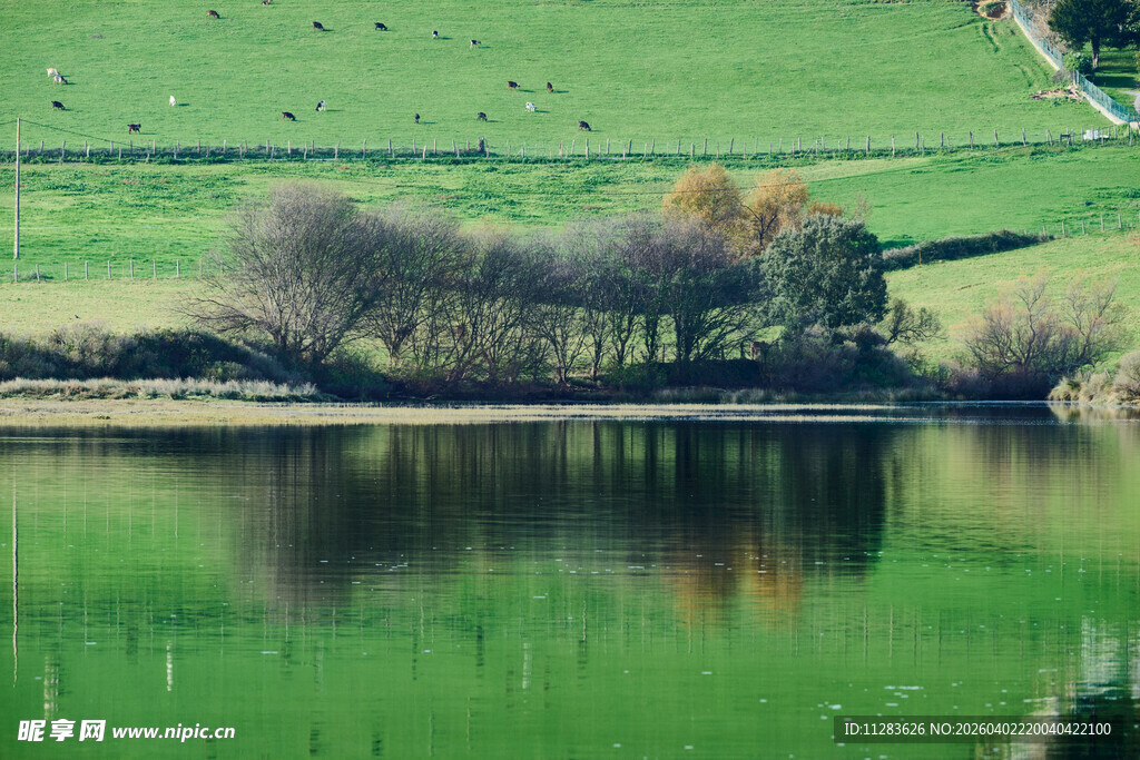 湖畔绿野风光