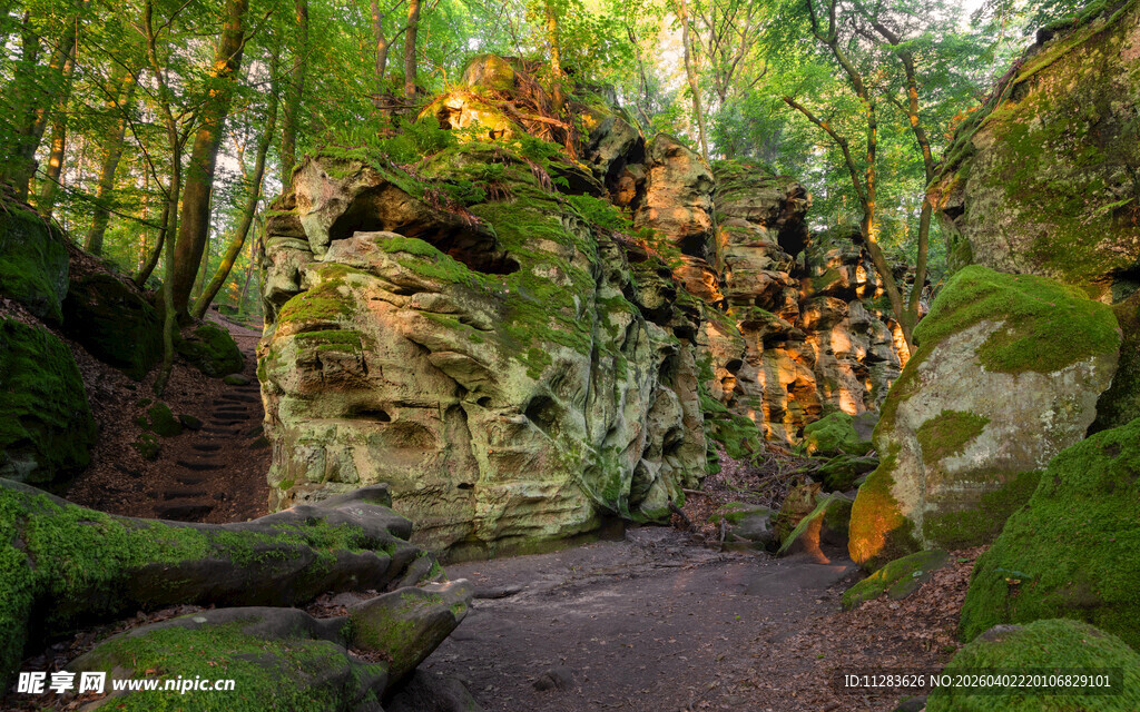 林间苔藓覆盖的巨石景观