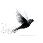 飞鸟化作粒子消散瞬间