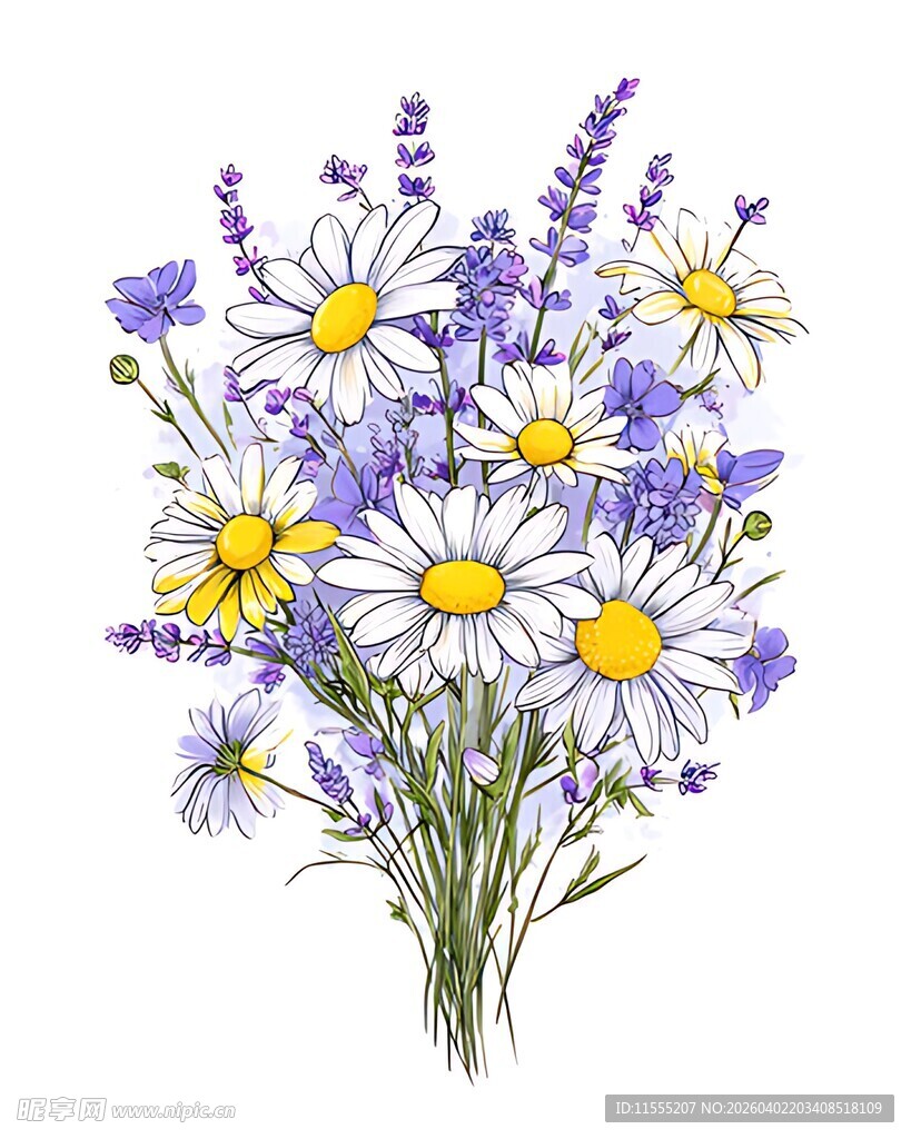 雏菊与薰衣草花束