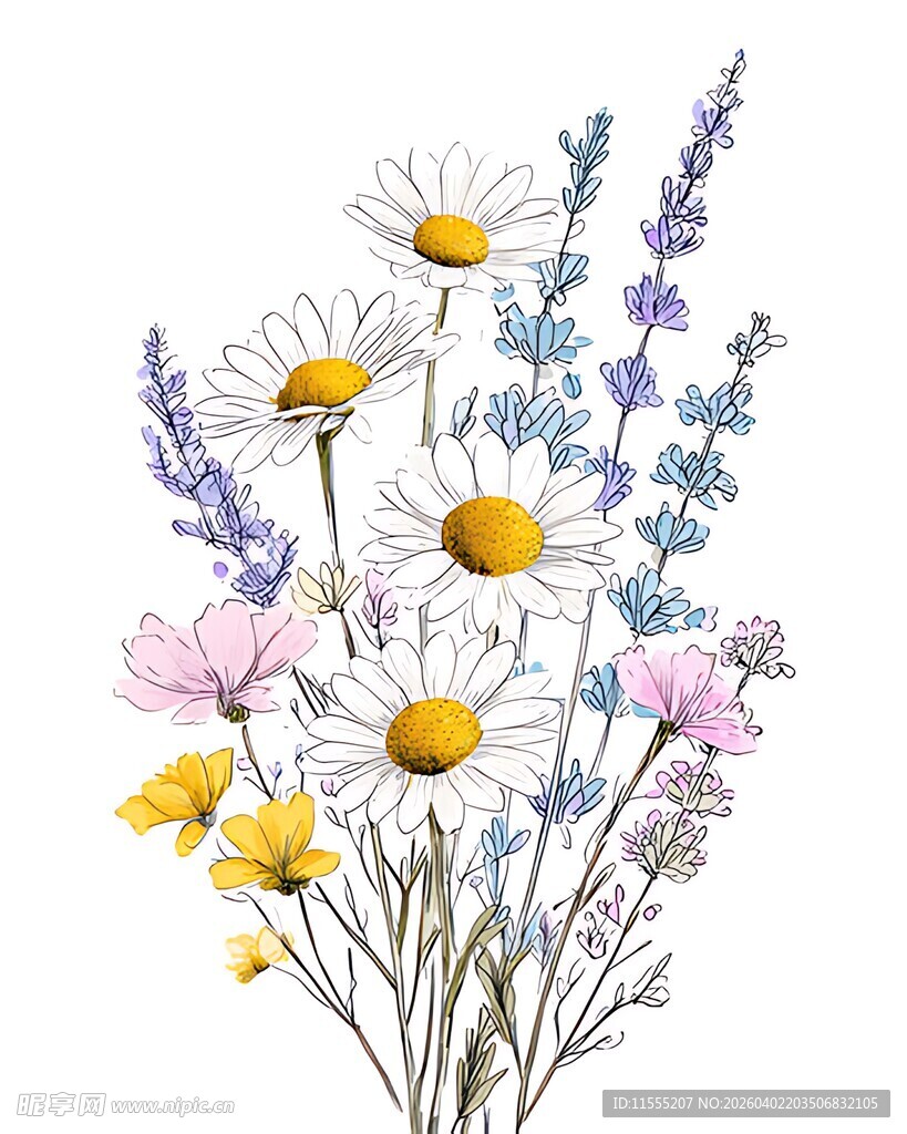 手绘清新雏菊薰衣草花束