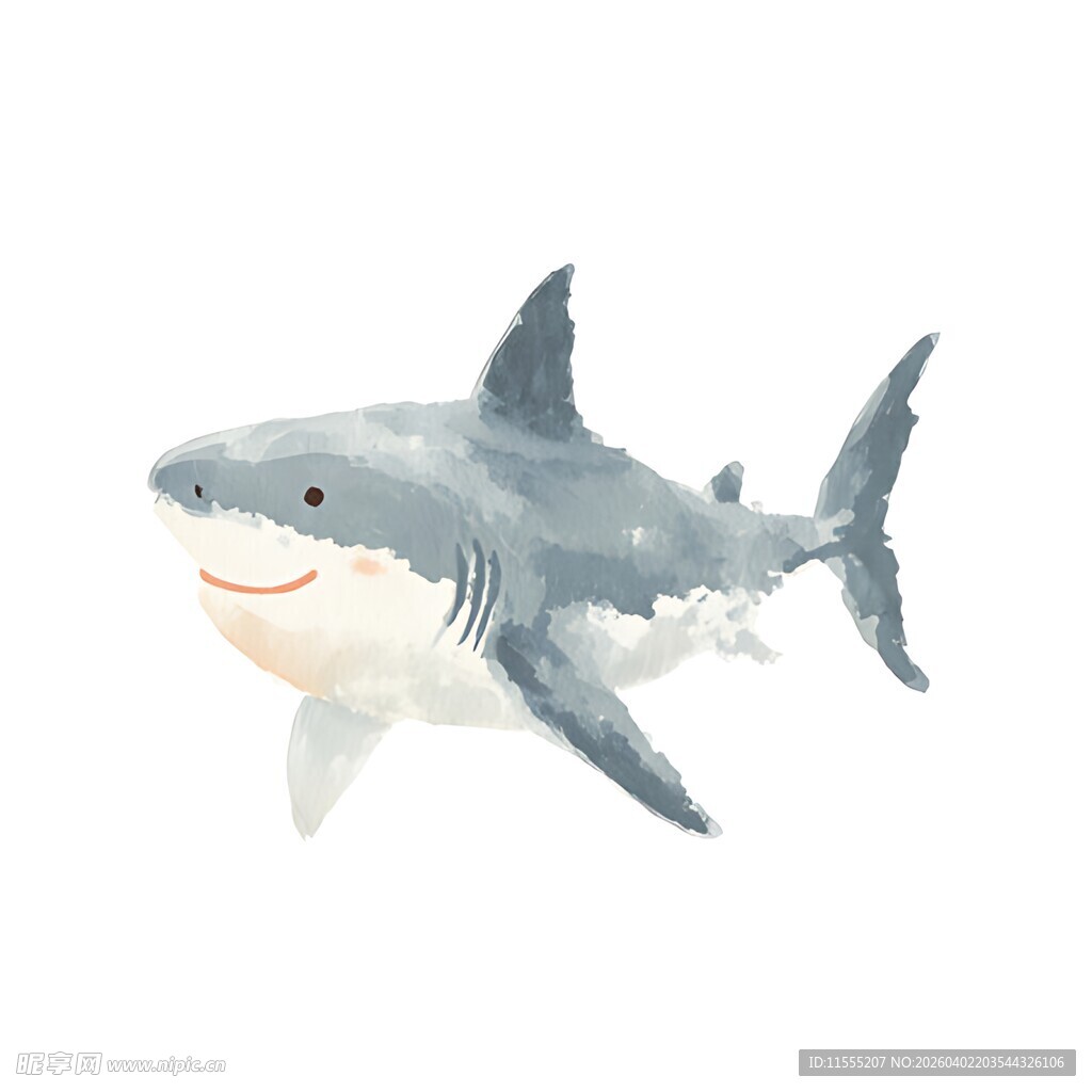 可爱鲨鱼插画