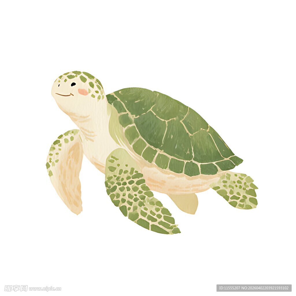 可爱海龟插画