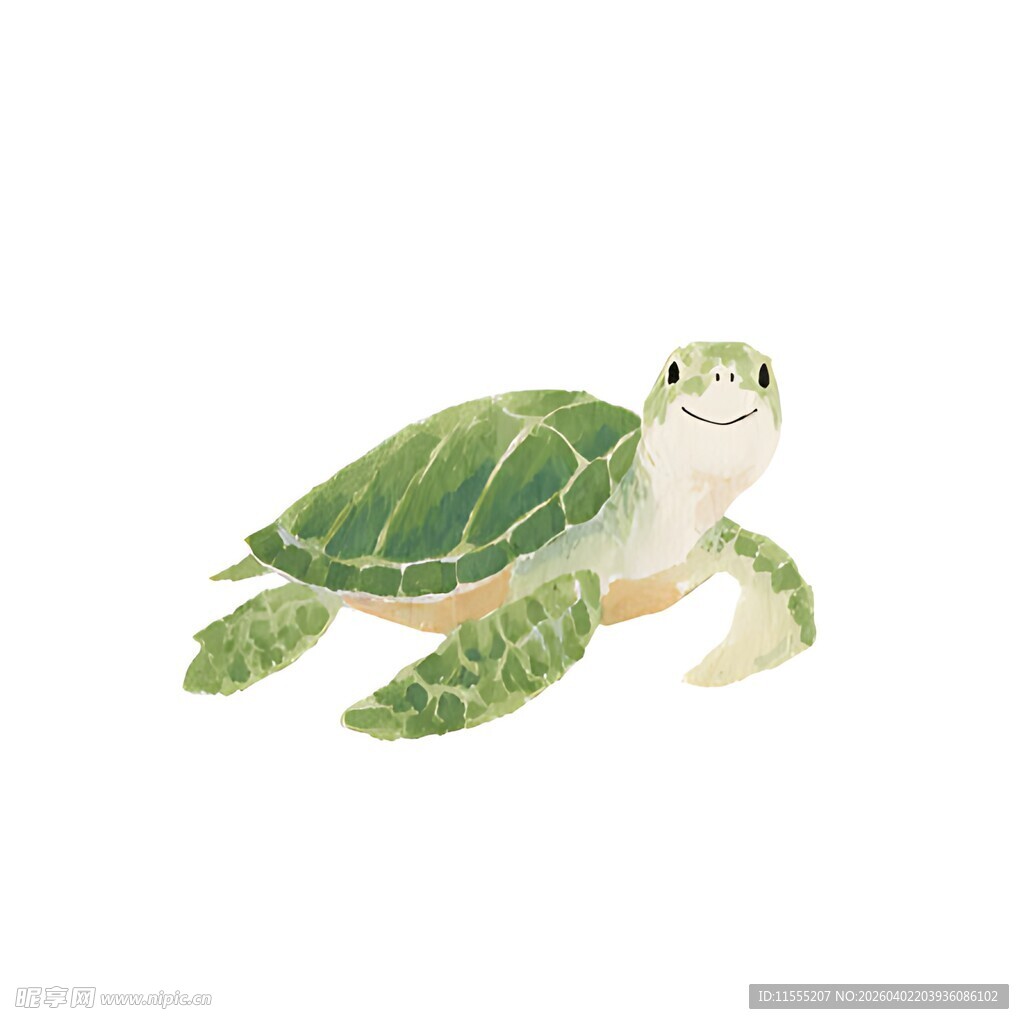 可爱绿海龟插画