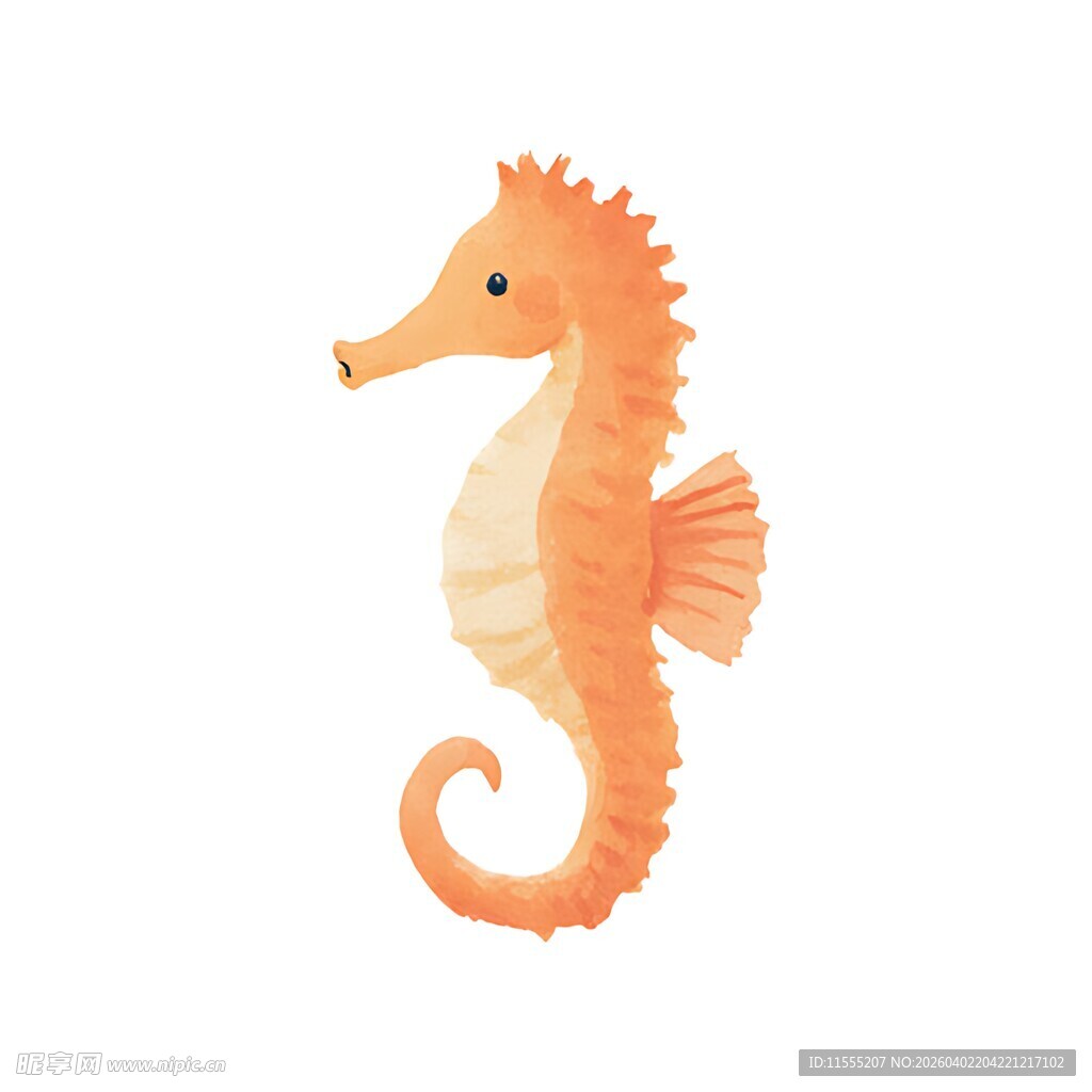 可爱橙色海马插画