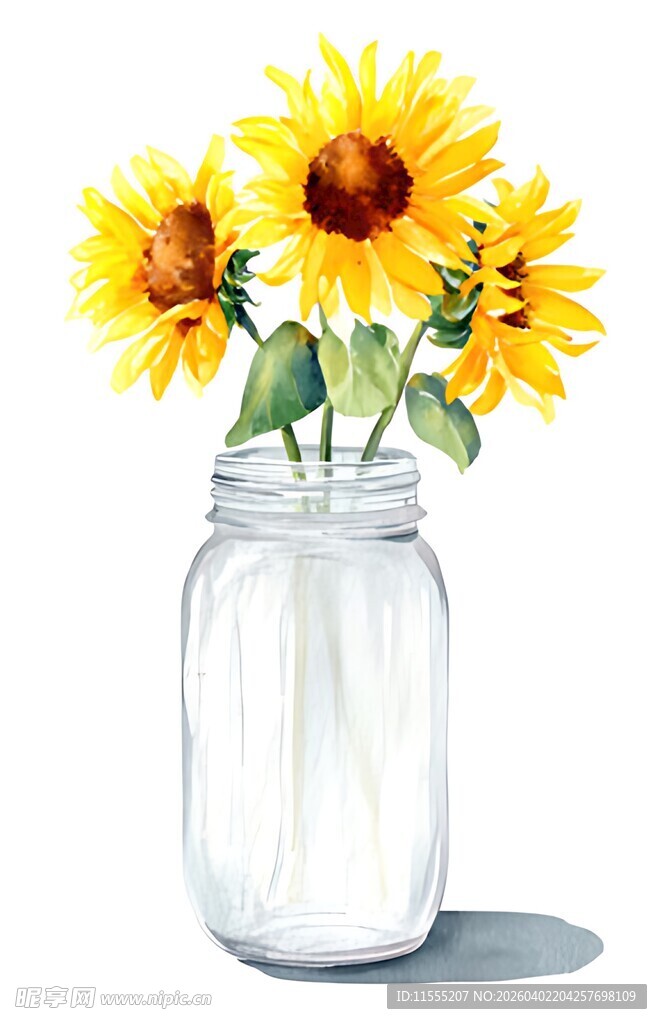罐中向日葵插画